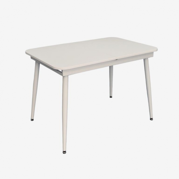DT-531R WH